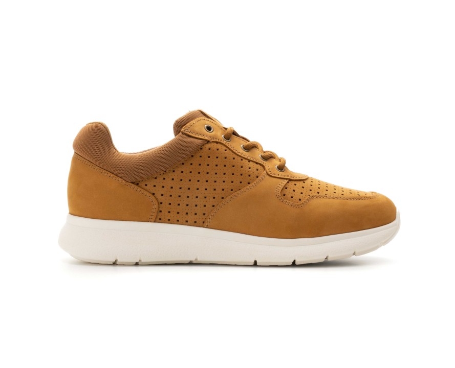 Sapatilhas | Camport Sapatilha Sneaker Hit Camel