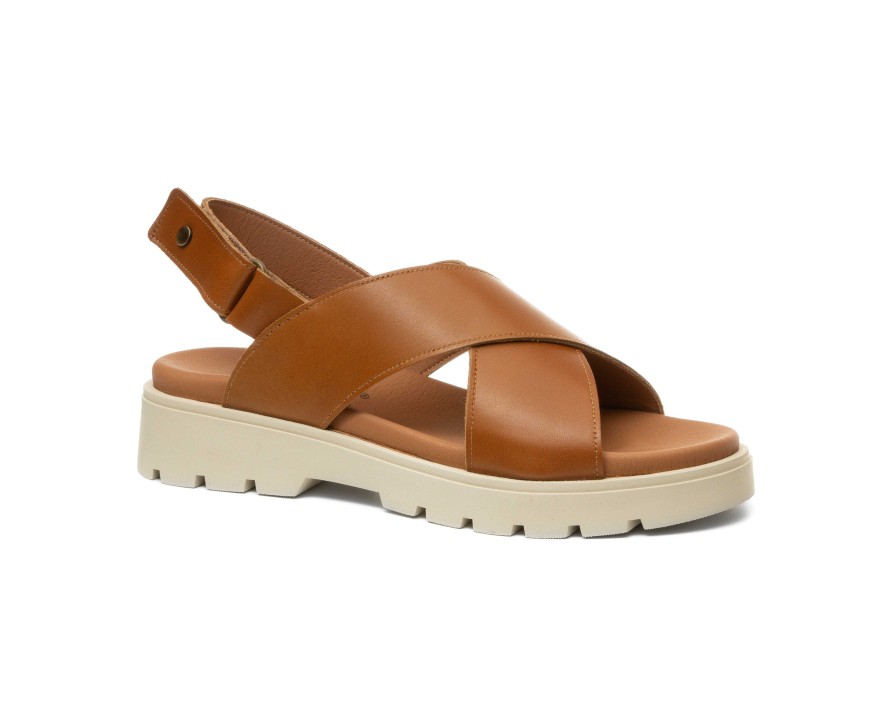 Sandalias | Camport Sandalia Lais Castanho